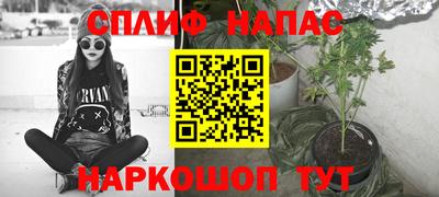 МДПВ Дубна