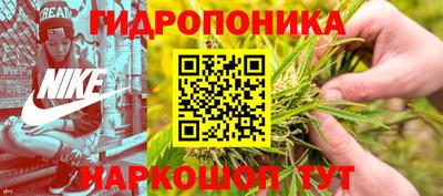 МДПВ Дубна