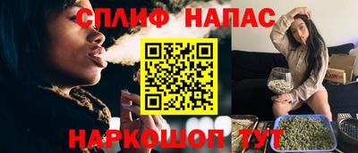 МДПВ Дубна