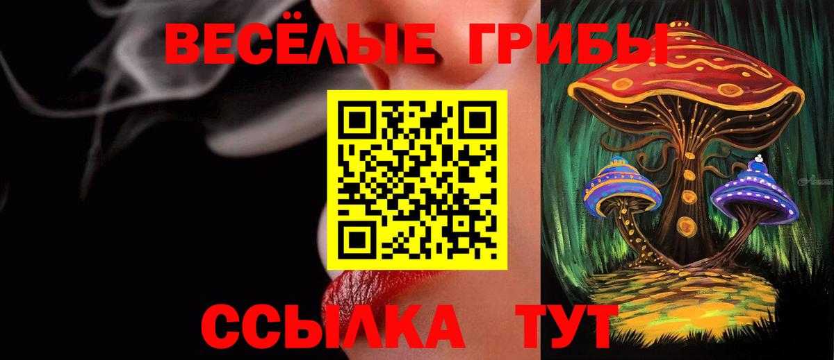 Галлюциногенные грибы Magic Shrooms  Вход с VPN  Галлюциногенные грибы Magic Shrooms  продажа наркотиков  Нижнеудинск 